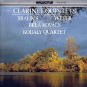 Quintet for Clarinet, Two Violins, Viola and Cello in B minor, Op. 115: I. Allegro artwork