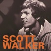 Scott Walker & The Walker Brothers - 1965-1970, 2009