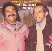 A Viola Está Tinindo