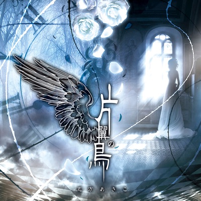 Shikata Akiko - VII