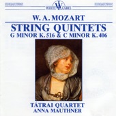 W. A. Mozart: String Quintets K.516, 406 artwork