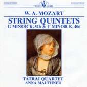 String Quintet in C minor K.406: I. Allegro
