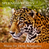 Splendid Beauty: Classical Indian Flute & Violin - Music for Deep Relaxation