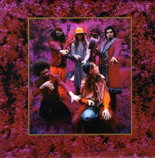 洋楽 CAPTAIN BEEFHEART & MAGIC BAND/GROW FINS Grow Fins: Rarities 1965-1982 - Album by Captain Beefheart