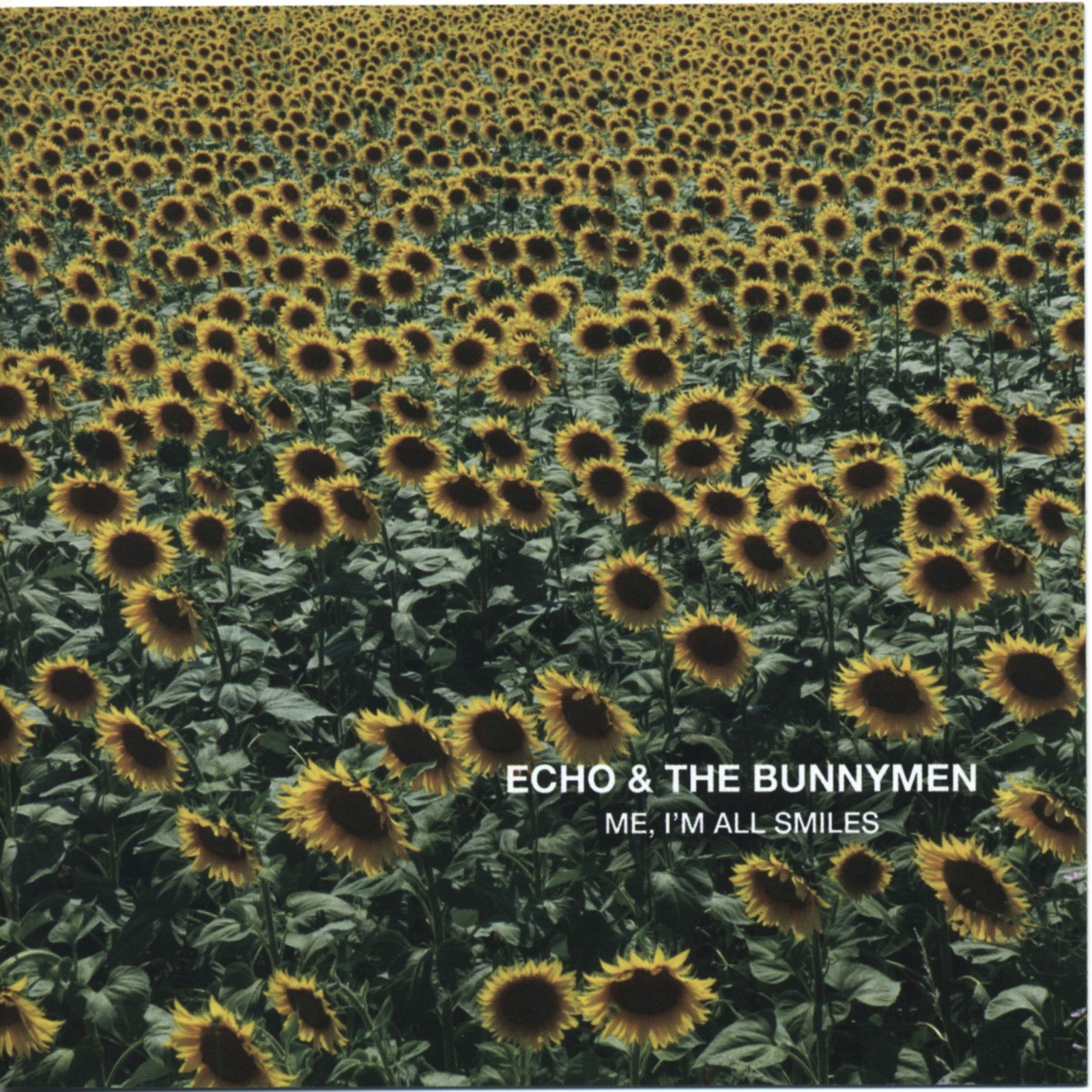 Echo & The Bunnymen - The Cutter