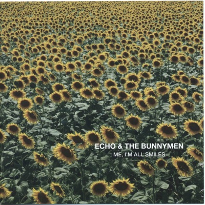 Bring On the Dancing Horses artwork