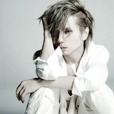 Kimigainai,Anohikara… - Single - Acid Black Cherry