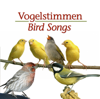 Vogelstimmen - ZYX Music