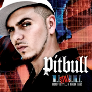 Money Is Still a Major Issue - Pitbull