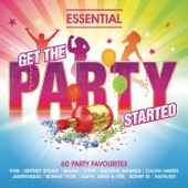 Get the Party Started (Radio Mix) artwork