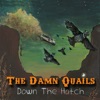 The Damn Quails - So So Long