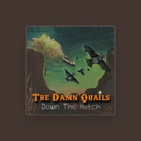 The Damn Quails