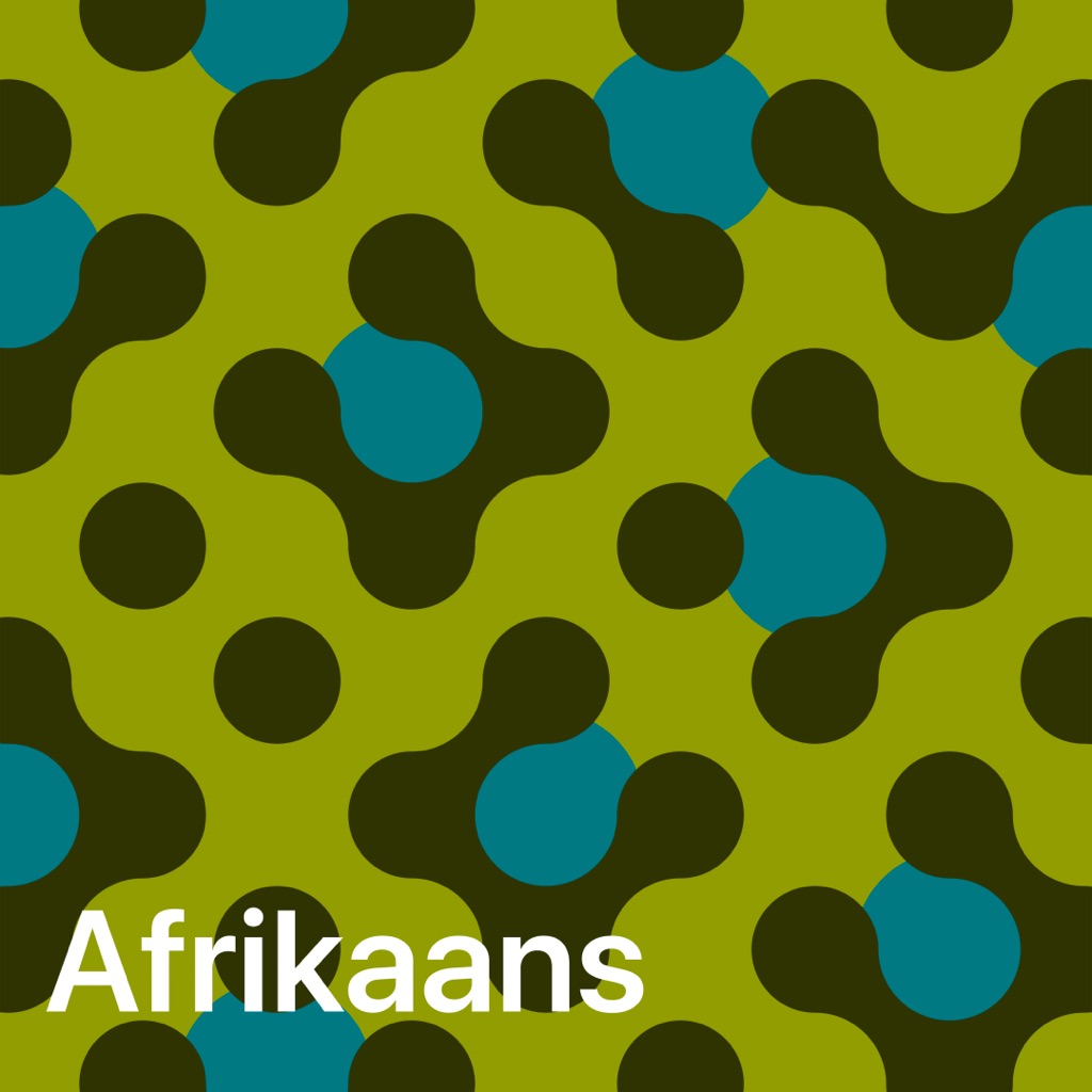Afrikaans Essentials
