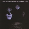 Lucretia My Reflection by Sisters of Mercy