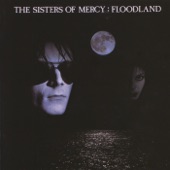 Floodland (Deluxe Version) artwork