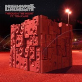 Drumsound and Bassline Smith featuring Tom Cane - Through The Night