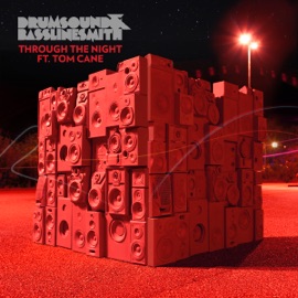 Through the Night (Bare Noize Remix) Drumsound & Bassline Smith