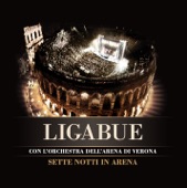 Sette Notti In Arena (Live) artwork