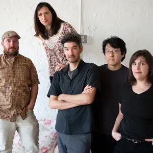 The Magnetic Fields