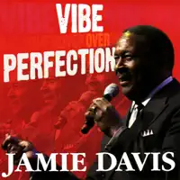 You'll Never Find Another Love Like Mine — Jamie Davis