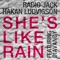 Stealer (Original Mix) - Radio Jack & Hakan Ludvigson lyrics