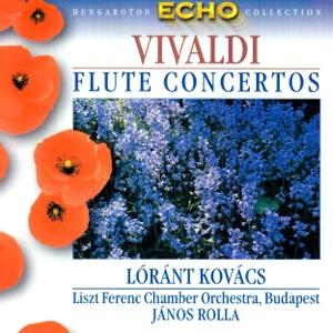 Flute Concertos