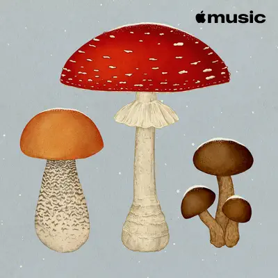 Posłuchaj Germany Winter Songs z udziałem Julian le Play