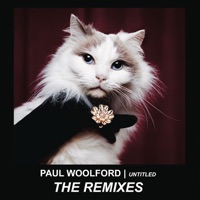 Untitled (Call Out Your Name) [Remixes] - Single - Paul Woolford