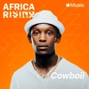 Africa Rising