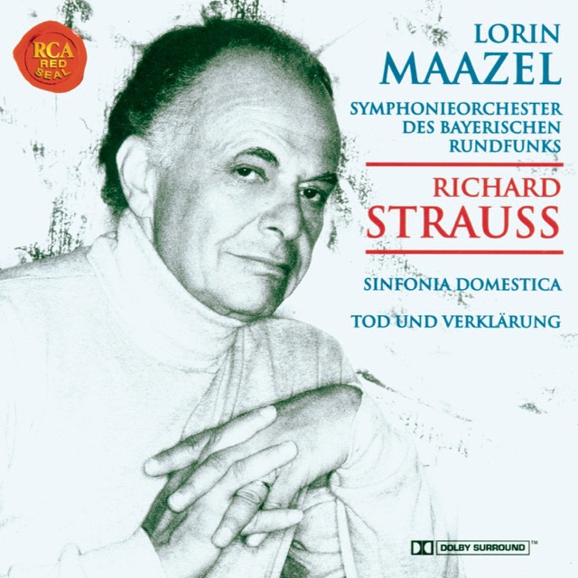 Sinfonia domestica, Op. 53: Thema II (Sehr lebhaft)