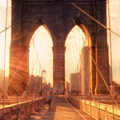 Listen to Best of Brooklyn Hip-Hop, Vol. 1 featuring Various Artists
