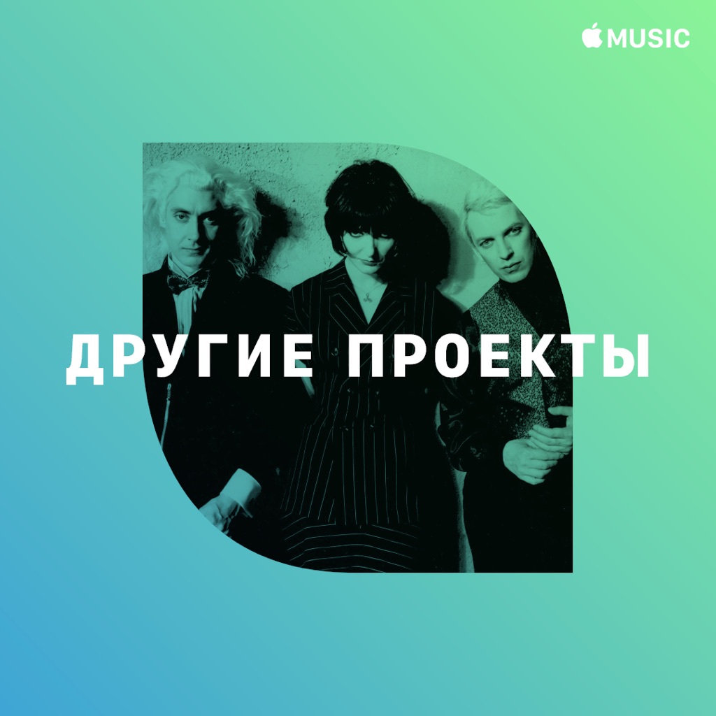 Siouxsie & the Banshees: другие проекты