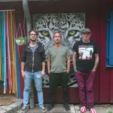 Ascolta Maulgruppe, guarda video musicali, leggi la biografia, vedi le date del tour & altro!