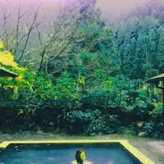 Listen to green onsen, watch music videos, read bio, see tour dates & more!