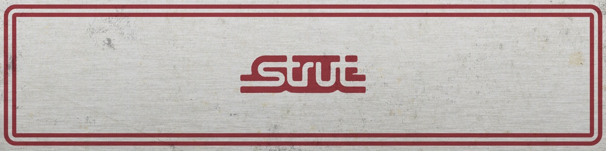 Strut