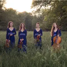 Nightingale String Quartet을(를) 듣고, 뮤직 비디오를 보고, 약력을 읽고, 투어 일정 등을 확인하세요!