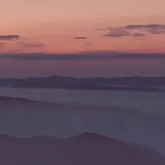 Philip E Morris을(를) 듣고, 뮤직 비디오를 보고, 약력을 읽고, 투어 일정 등을 확인하세요!