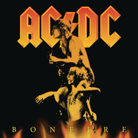 You Shook Me All Night Long - AC/DC Cover Art