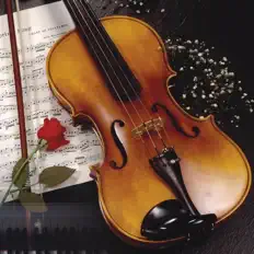 Listen to Ceyhun Çelik, watch music videos, read bio, see tour dates & more!