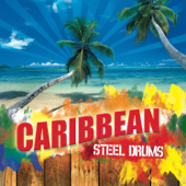 Caribbean Steel Drums - Syd Marsh