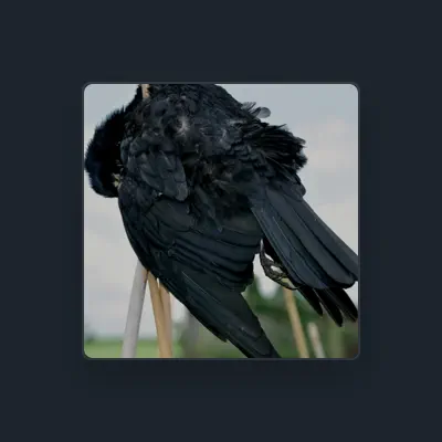 Listen to red kite, watch music videos, read bio, see tour dates & more!