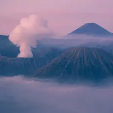 Dengarkan 睡眠導入 Specialist, tonton video musik, baca bio, lihat tanggal tur & lainnya!