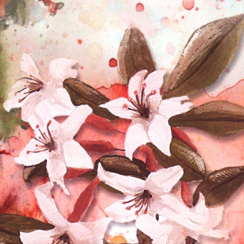 Ayşenur Kolivar - E Asiye