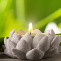 Listen to Scents of Spa, watch music videos, read bio, see tour dates & more!