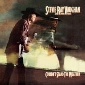 Stevie Ray Vaughan & Double Trouble - The Sky is Crying