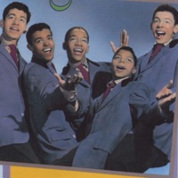 Frankie Lymon & The Teenagers