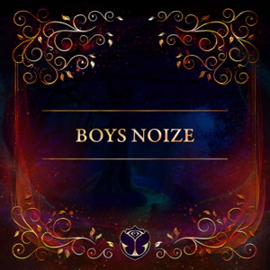 Tomorrowland 31.12.2020: Boys Noize (DJ Mix)