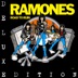 I Wanna Be Sedated cover