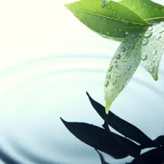 Musica Ambiental Clubeを聴いたり、ミュージックビデオを鑑賞したり、経歴やツアー日程などを確認したりしましょう！
