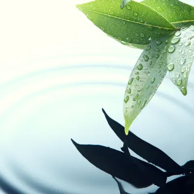 Listen to Musica Ambiental Clube, watch music videos, read bio, see tour dates & more!
